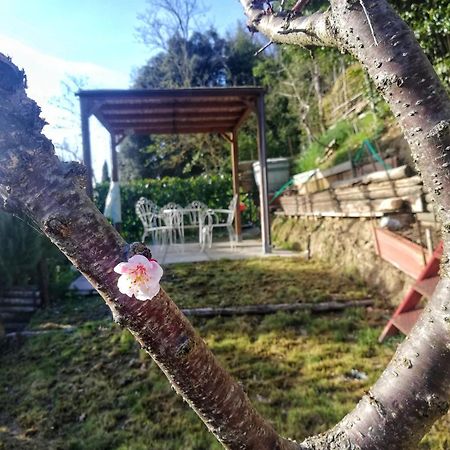 산지미냐노 Casa Laura 아파트 외부 사진