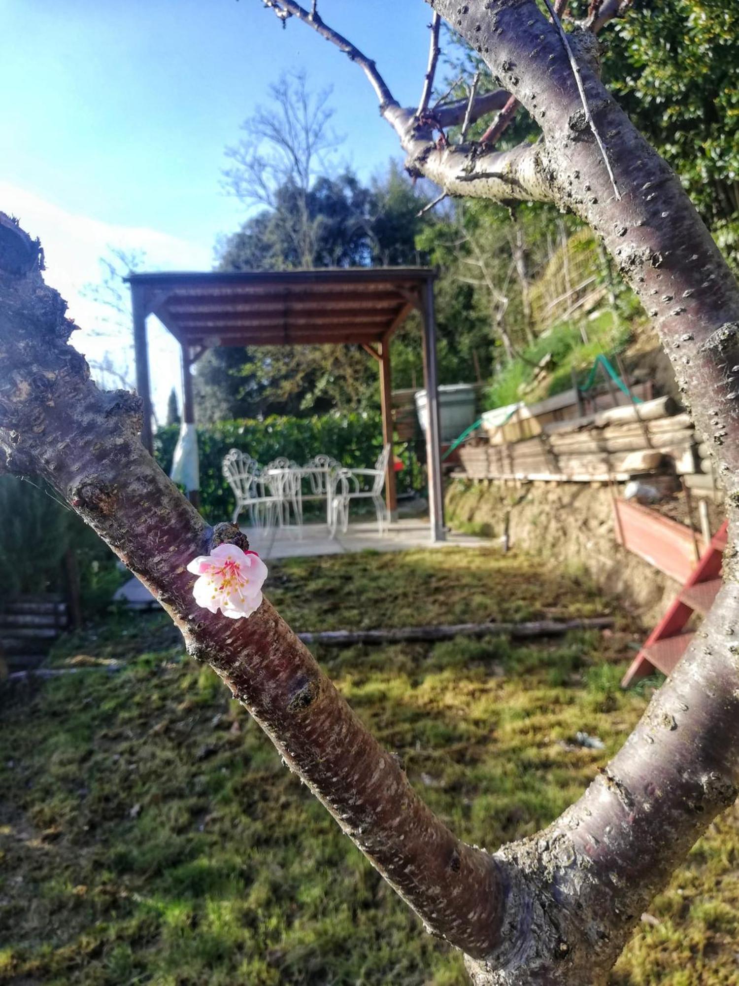 산지미냐노 Casa Laura 아파트 외부 사진